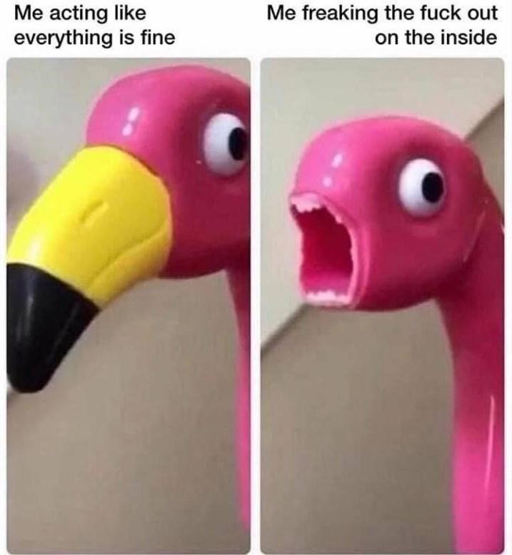 cursed flamingo - Me acting everything is fine Me freaking the fuck out on the inside