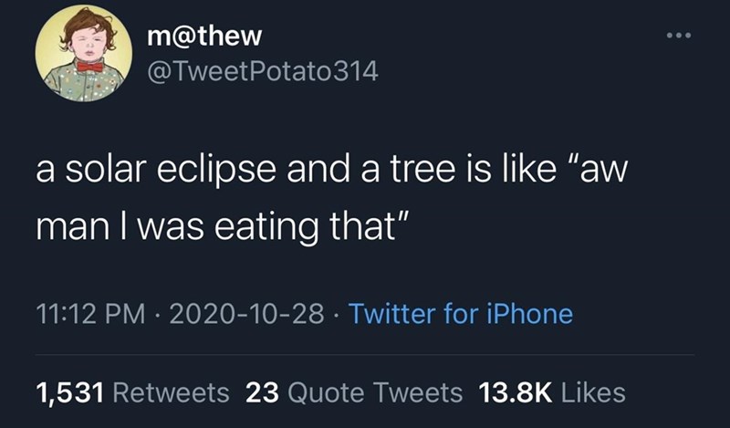 person i needed the most taught me - m Potato 314 a solar eclipse and a tree is "aw man I was eating that" Twitter for iPhone 1,531 23 Quote Tweets