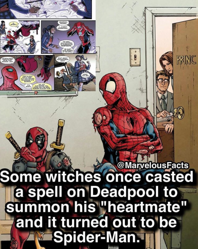 comic book facts - Princ Some witches once casted Ta spell on Deadpool to summon his "heartmate" and it turned out to be SpiderMan.