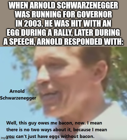 martin demichelis - When Arnold Schwarzenegger Was Running For Governor In 2003, He Was Hit With An Egg During A Rally, Later During A Speech, Arnold Responded With Arnold Schwarzenegger Well, this guy owes me bacon, now. I mean there is no two ways about