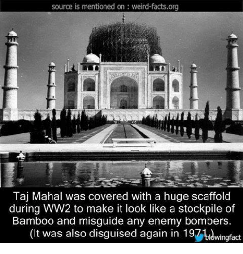 taj mahal - source is mentioned on weirdfacts.org Taj Mahal was covered with a huge scaffold during WW2 to make it look a stockpile of Bamboo and misguide any enemy bombers. It was also disguised again in 197 bidwingfact
