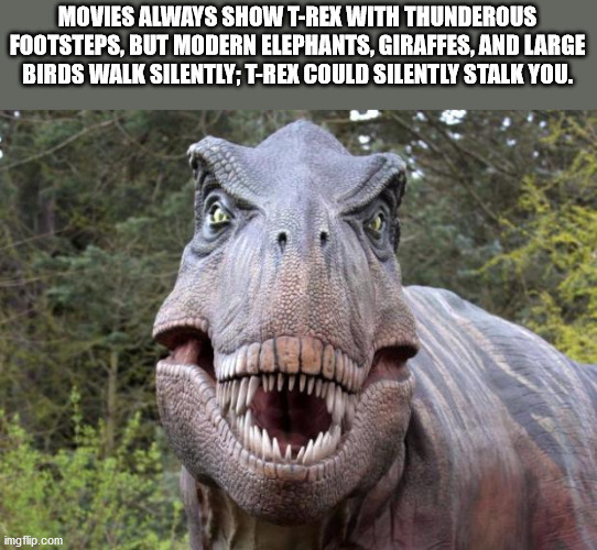 trex face - Movies Always Show TRex With Thunderous Footsteps, But Modern Elephants, Giraffes, And Large Birds Walk Silently; TRex Could Silently Stalk You. imgflip.com