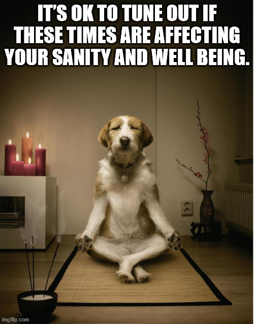 meditation funny - It'S Ok To Tune Out If These Times Are Affecting Your Sanity And Well Being. imgflip.com