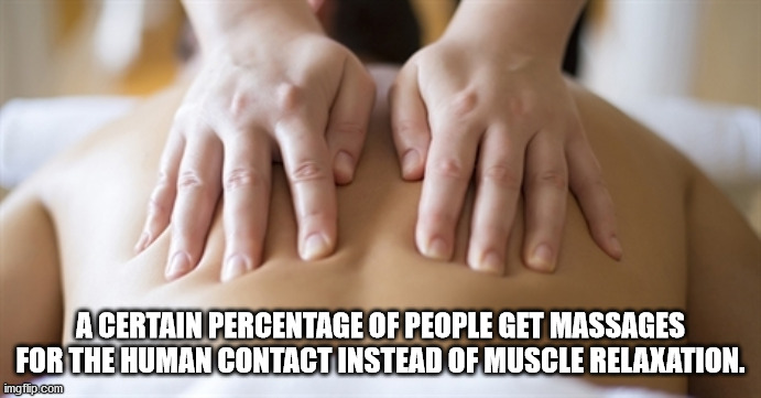 contacted the humans but they - A Certain Percentage Of People Get Massages For The Human Contact Instead Of Muscle Relaxation. imgflip.com