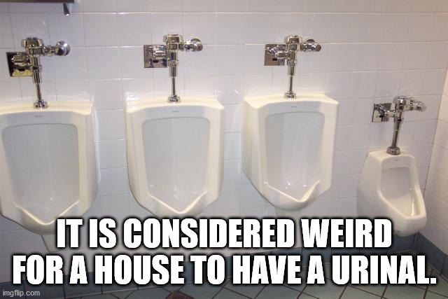 yu no guy - h It Is Considered Weird For A House To Have A Urinal. imgflip.com