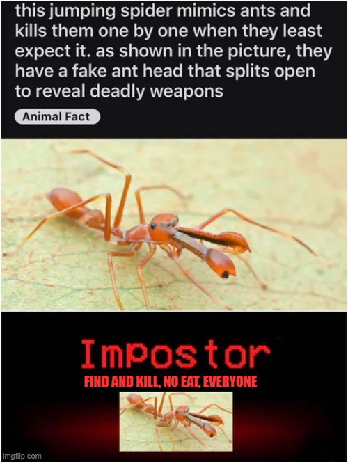 ant - this jumping spider mimics ants and kills them one by one when they least expect it. as shown in the picture, they have a fake ant head that splits open to reveal deadly weapons Animal Fact Impostor Find And Kill, No Eat, Everyone imgflip.com