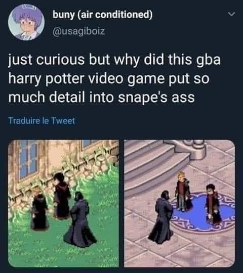 meme snape ass game - buny air conditioned just curious but why did this gba harry potter video game put so much detail into snape's ass Traduire le Tweet