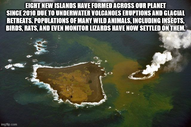 Eight New Islands Have Formed Across Our Planet Since 2010 Due To Underwater Volcanoes Eruptions And Glacial Retreats. Populations Of Many Wild Animals, Including Insects, Birds, Rats, And Even Monitor Lizards Have Now Settled On Them. imgflip.com