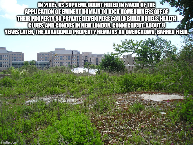 vegetation - In 2005, Us Supreme Court Ruled In Favor Of The Application Of Eminent Domain To Kick Homeowners Off Of Their Property So Private Developers Could Build Hotels, Health Clubs, And Condos In New London, Connecticut. About 9 Years Later, The Aba