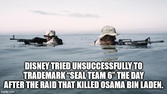 sea - Disney Tried Unsuccessfully To Trademark "Seal Team 6" The Day After The Raid That Killed Osama Bin Laden. imgflip.com