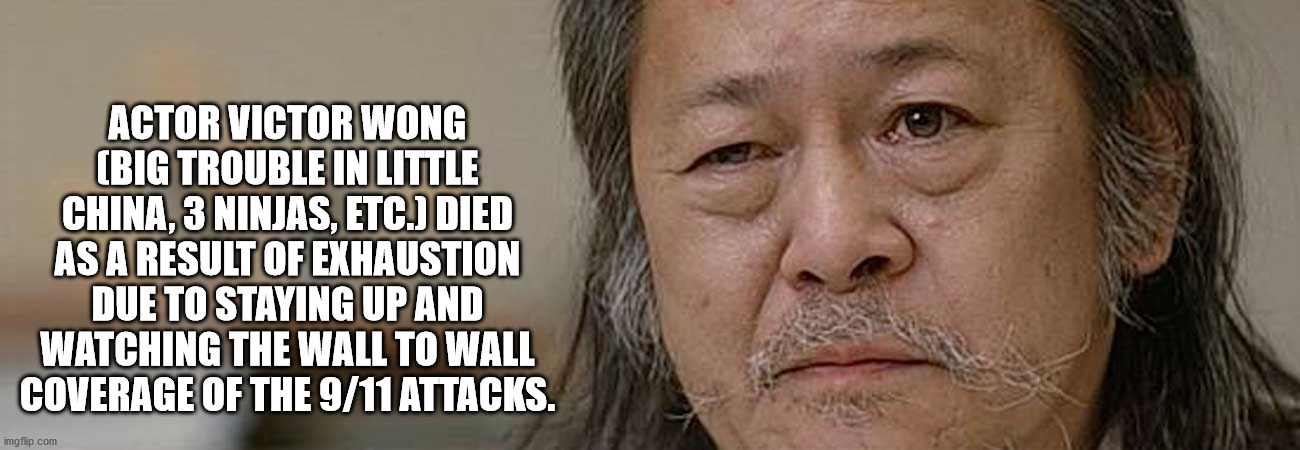 cat killer - Actor Victor Wong Big Trouble In Little China.3 Ninjas. Etc. Died As A Result Of Exhaustion Due To Staying Up And Watching The Wall To Wall Coverage Of The 911 Attacks. imgflip.com