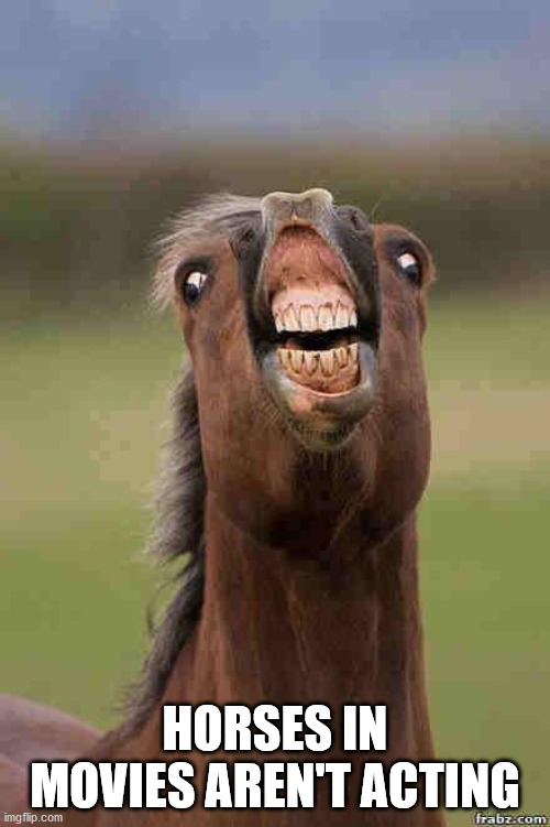 funny animals horse - Horses In Movies Aren'T Acting imgflip.com frabz.com