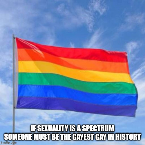 gay pride flag memes - If Sexuality Is A Spectrum Someone Must Be The Gayest Gay In History imgflip.com