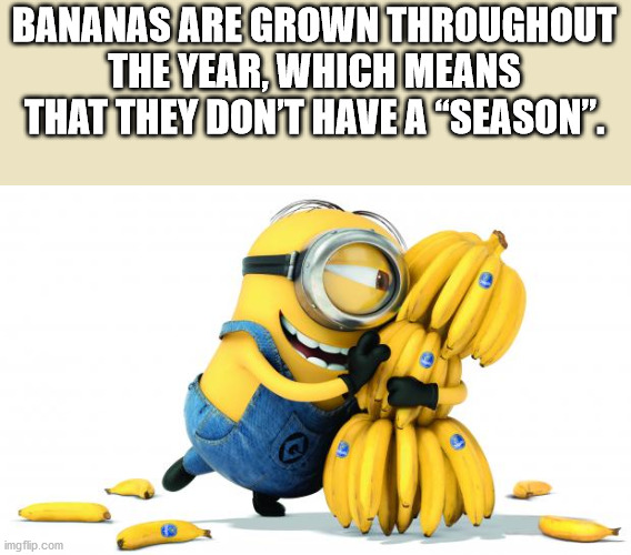 Bananas Are Grown Throughout The Year, Which Means That They Dont Have A "Season. imgflip.com