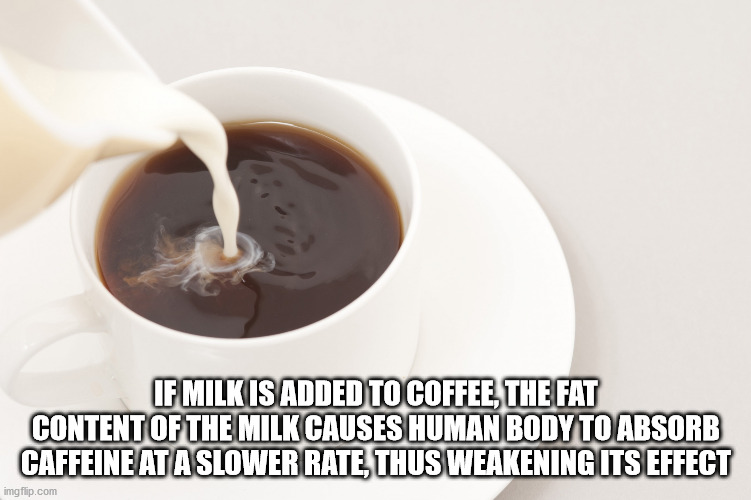 aashi i love you - If Milk Is Added To Coffee, The Fat Content Of The Milk Causes Human Body To Absorb Caffeine At A Slower Rate, Thus Weakening Its Effect imgflip.com