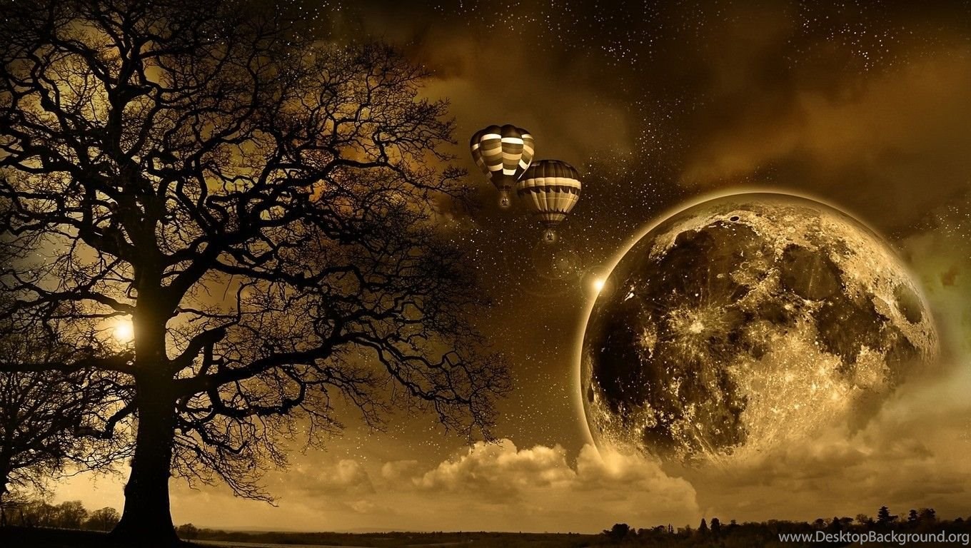 moon trees -