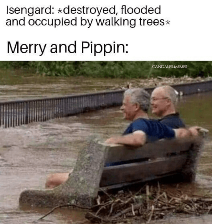 your life's falling apart but you re used to it - Isengard destroyed, flooded and occupied by walking trees Merry and Pippin Gandalfs.Memes