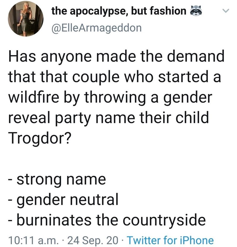 the apocalypse, but fashion Has anyone made the demand that that couple who started a wildfire by throwing a gender reveal party name their child Trogdor? strong name gender neutral burninates the countryside a.m. 24 Sep. 20 Twitter for iPhone