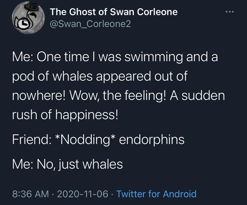 atmosphere - The Ghost of Swan Corleone Me One time I was swimming and a pod of whales appeared out of nowhere! Wow, the feeling! A sudden rush of happiness! Friend Nodding endorphins Me No, just whales Twitter for Android