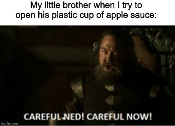 photo caption - My little brother when I try to open his plastic cup of apple sauce Careful Ned! Careful Now! imgflip.com