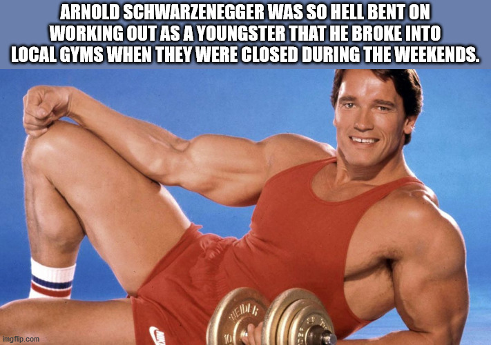 arnold schwarzenegger muscles - Arnold Schwarzenegger Was So Hell Bent On Working Out As A Youngster That He Broke Into Local Gyms When They Were Closed During The Weekends. Gle imgflip.com