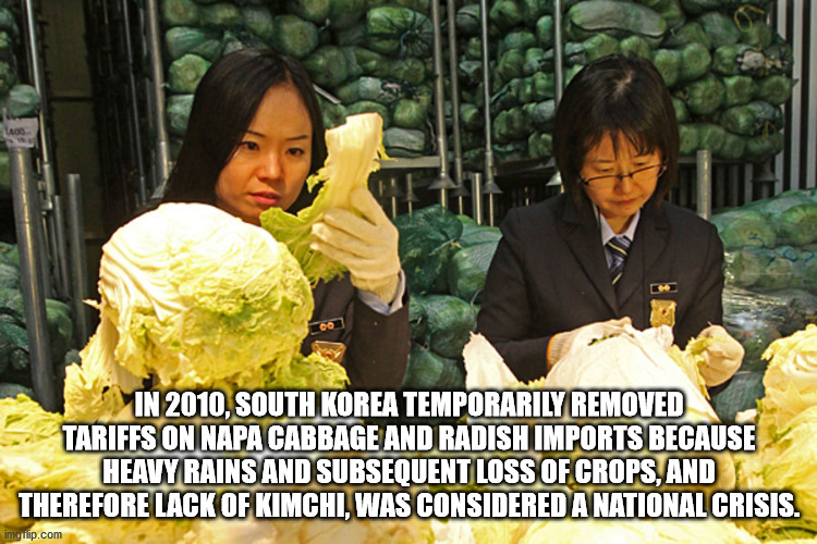 conversation - Lado In 2010, South Korea Temporarily Removed Tariffs On Napa Cabbage And Radish Imports Because Heavy Rains And Subsequent Loss Of Crops, And Therefore Lack Of Kimchi, Was Considered A National Crisis. imgrip.com