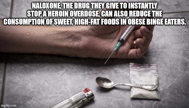 hand - Naloxone, The Drug They Give To Instantly Stop A Heroin Overdose, Can Also Reduce The Consumption Of Sweet, HighFat Foods In Obese Binge Eaters. imgflip.com