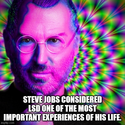 Steve Jobs Considered Lsd One Of The Most Important Experiences Of His Life. imgflip.com