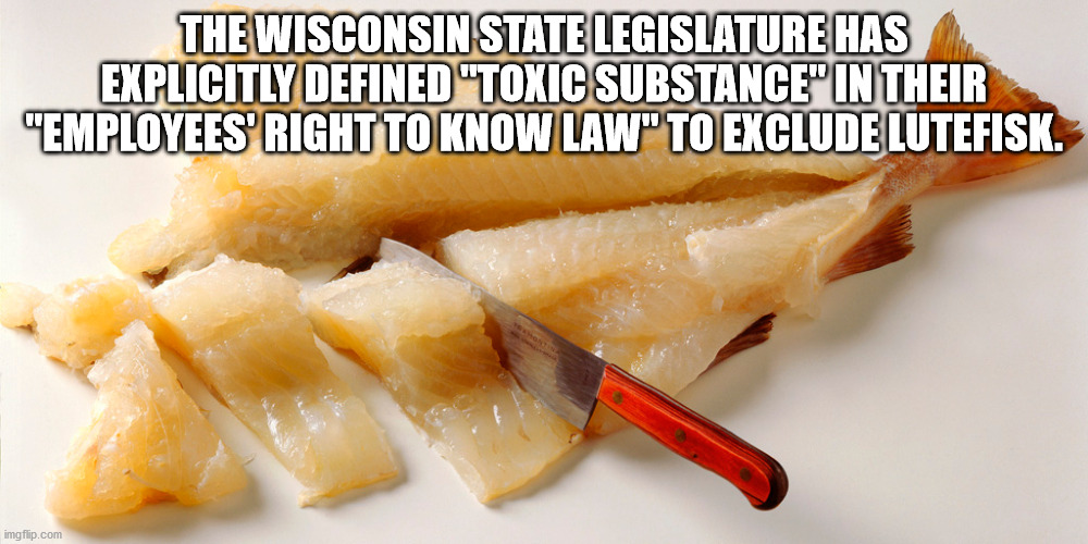 guido jesus meme - The Wisconsin State Legislature Has Explicitly Defined "Toxic Substance" In Their "Employees' Right To Know Law" To Exclude Lutefisk. imgflip.com