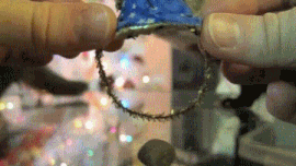 Moving Image Mayhem; (animal edition)