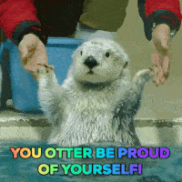 Moving Image Mayhem; (animal edition)