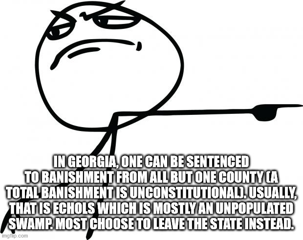 gtfo meme - In Georgia, One Can Be Sentenced To Banishment From All But One County Ca Total Banishment Is Unconstitutionali. Usually, That Is Echols Which Is Mostly An Unpopulated Swamp. Most Choose To Leave The State Instead. imgflip.com