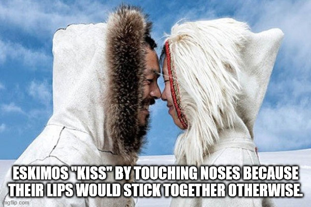 greenland greetings - Eskimos "Kiss" By Touching Noses Because Their Lips Would Stick Together Otherwise ingflip.com