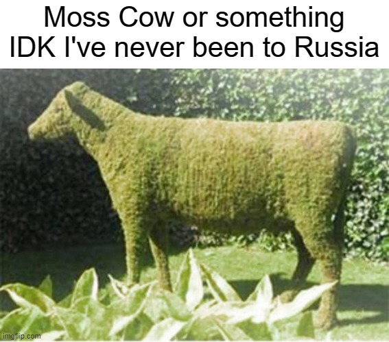 moss cow - Moss Cow or something Idk I've never been to Russia imgflip.com
