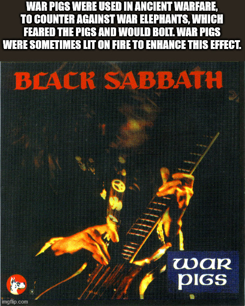 black sabbath war pigs - War Pigs Were Used In Ancient Warfare, To Counter Against War Elephants, Which Feared The Pigs And Would Bolt. War Pigs Were Sometimes Lit On Fire To Enhance This Effect. Black Sabbath war Pigs imgflip.com