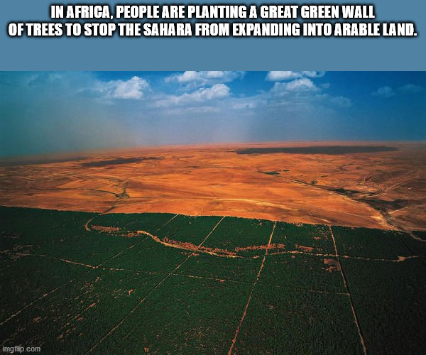 السد الاخضر في الجزائر - In Africa, People Are Planting A Great Green Wall Of Trees To Stop The Sahara From Expanding Into Arable Land. imgflip.com