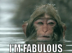 i m fabulous monkey gif - I'M Fabulous