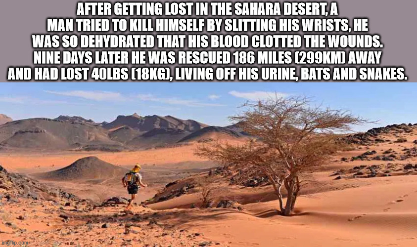 wilderness - After Getting Lost In The Sahara Desert, A Man Tried To Kill Himself By Slitting His Wrists, He Was So Dehydrated That His Blood Clotted The Wounds. Nine Days Later He Was Rescued 186 Miles M Away And Had Lost 40LBS 18KG, Living Off His Urine