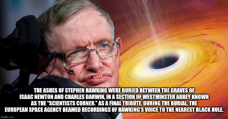 black stephen hawking - The Ashes Of Stephen Hawking Were Buried Between The Graves Of Isaac Newton And Charles Darwin, In A Section Of Westminster Abbey Known As The Scientists Corner. As A Final Tribute, During The Burial, The European Space Agency Beam