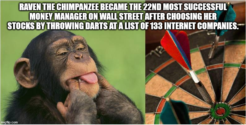 va là bas - Raven The Chimpanzee Became The 22ND Most Successful Money Manager On Wall Street After Choosing Her Stocks By Throwing Darts At A List Of 133 Internet Companies. imgflip.com