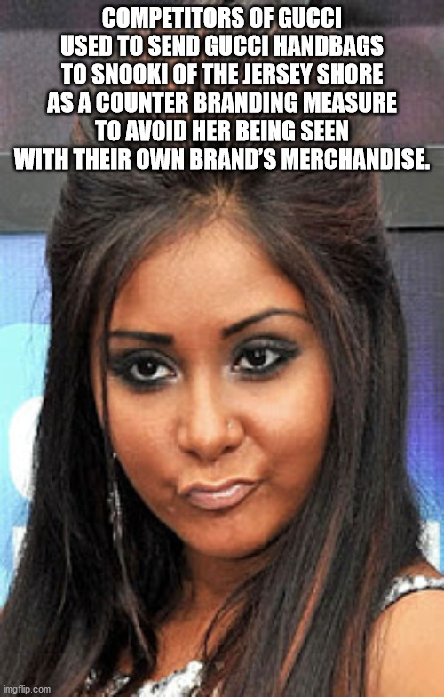 alpesh patel - Competitors Of Gucci Used To Send Gucci Handbags To Snooki Of The Jersey Shore As A Counter Branding Measure To Avoid Her Being Seen With Their Own Brand'S Merchandise. imgflip.com