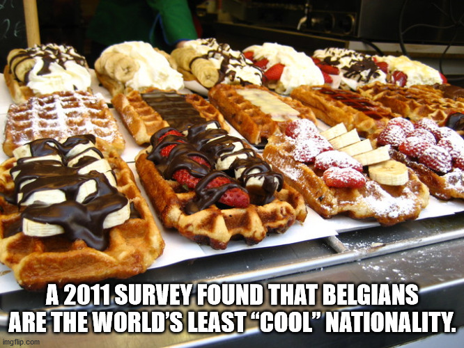 best belgian waffles - A 2011 Survey Found That Belgians Are The World'S Leastcool Nationality. imgflip.com