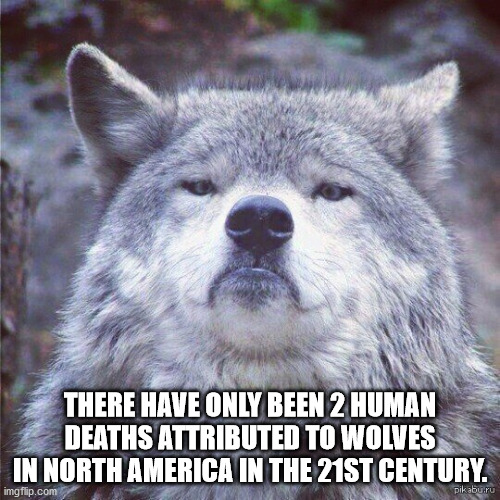 There Have Only Been 2 Human Deaths Attributed To Wolves In North America In The 21ST Century. imgflip.com pikabu.ru