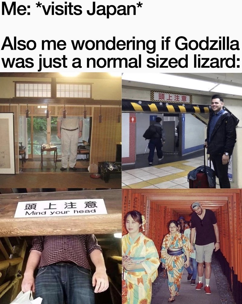 communication - Me visits Japan Also me wondering if Godzilla was just a normal sized lizard Mind your head