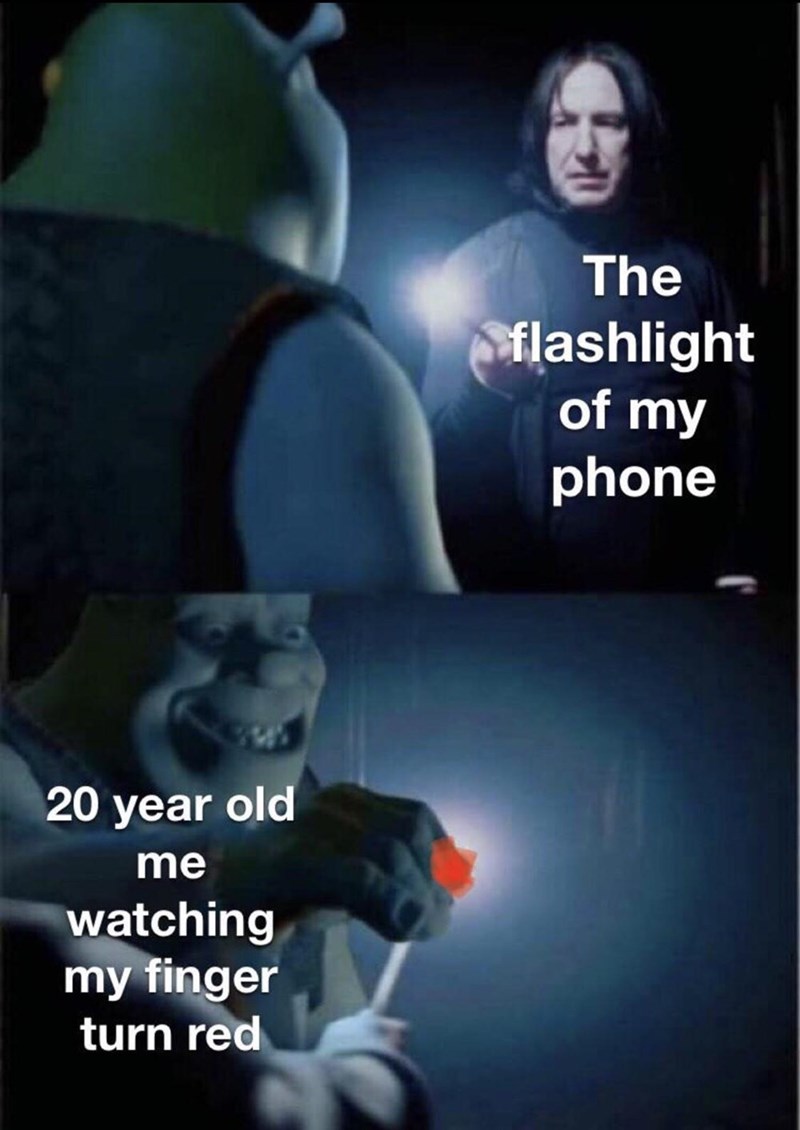 harry potter memes - The flashlight of my phone 20 year old me watching my finger turn red