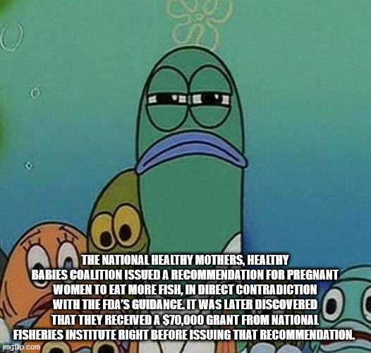 spongebob im watching you - O The National Healthy Mothers, Healthy Babies Coalition Issued A Recommendation For Pregnant Women To Eat More Fish, In Direct Contradiction With The Fda'S Guidance It Was Later Discovered That They Received A $70,000 Grant Fr