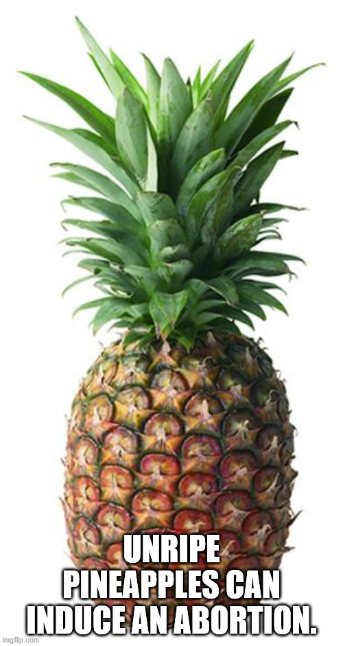 pineapple memes - Unripe Pineapples Can Induce An Abortion. imgflip.com