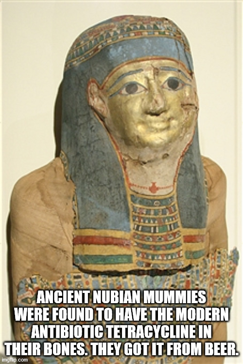 head - Ancient Nubian Mummies Were Found To Have The Modern Antibiotic Tetracycline In Their Bones. They Got It From Beer. imgflip.com