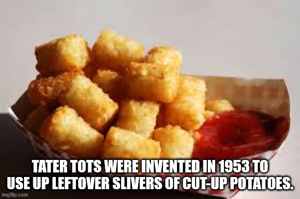 national tater tot day - Tater Tots Were Invented In 1953 To Use Up Leftover Slivers Of CutUp Potatoes. imgflip.com