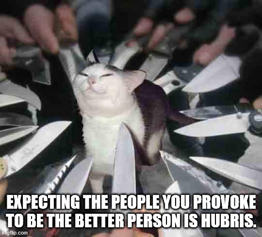 cat surrounded with knives - Expecting The People You Provoke To Be The Better Person Is Hubris. imgflip.com